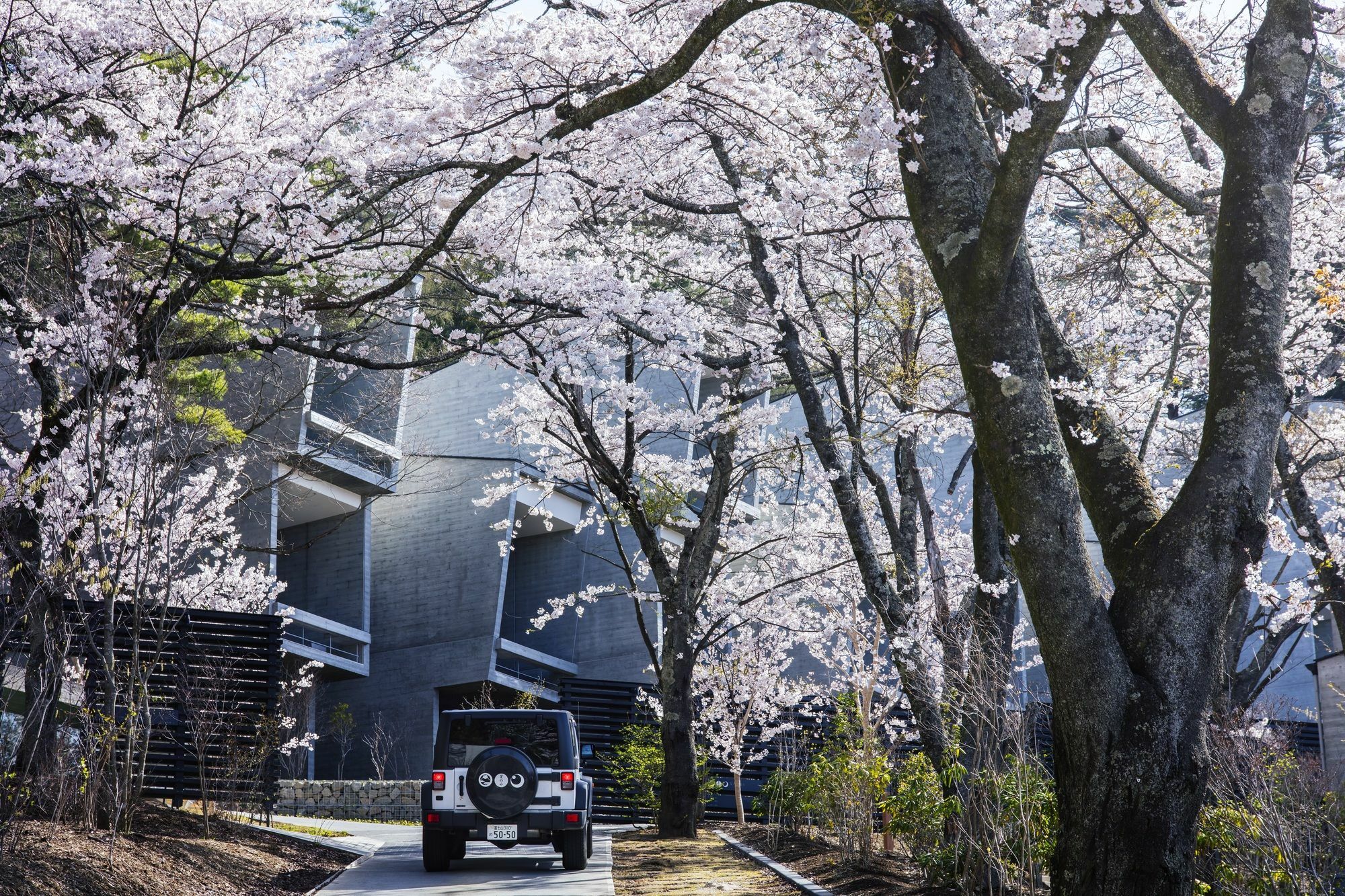 Hotel Hoshinoya Fuji Fujikawaguchiko Esterno foto